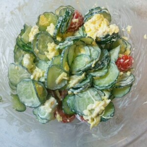 夏野菜の彩りサラダ